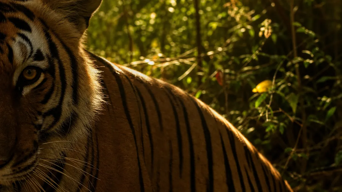 Animaux qui commencent par la lettre T : la liste complète